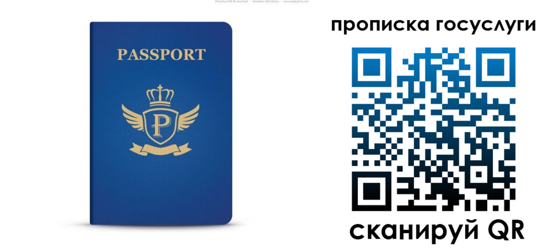 прописка для школы в Шуе